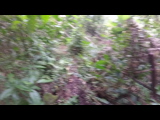 GOPR9735.THM