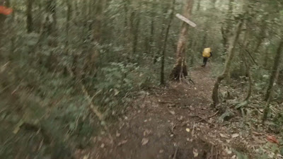 YDXJ0889.MP4