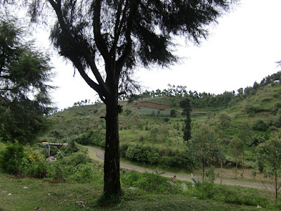 CIMG2880.JPG