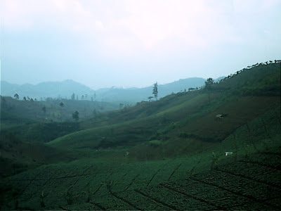 Survey PenDas KF Gunung Hutan - 057.jpg