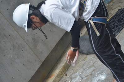 DSC_8480.JPG