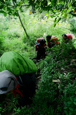 DSCF6453.JPG
