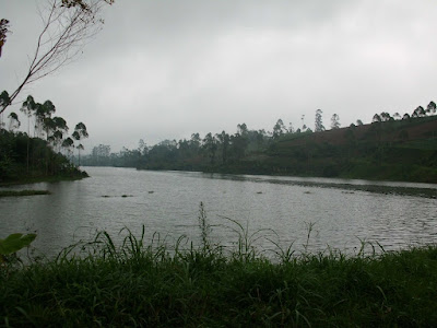 CIMG7234.JPG
