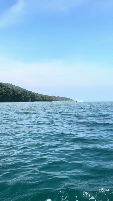 IMG_2667.MOV