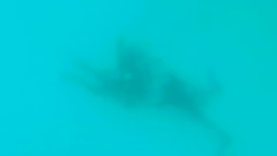 GX017897.MP4