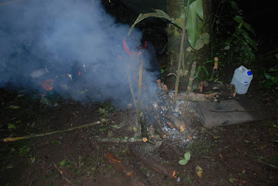 DSC_0403.JPG