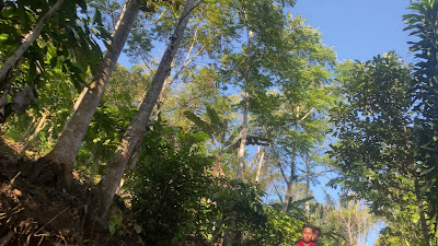 IMG_1082.MOV