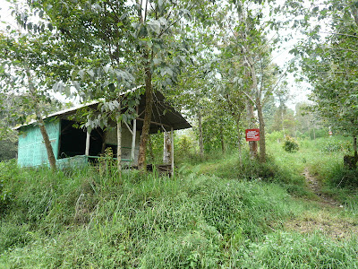 P1040877.JPG