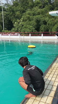 IMG_0654.MOV