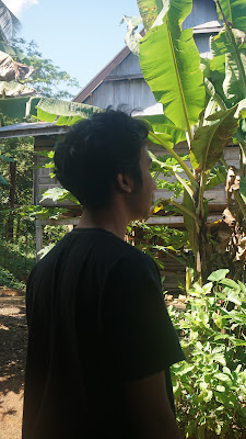 DSC03013.JPG