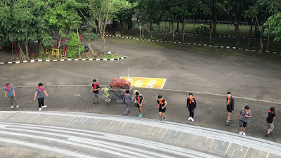 IMG_4730.MOV