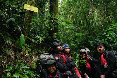 DSC08012.JPG