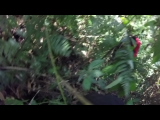 GOPR9758.THM