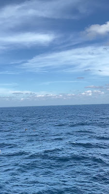 IMG_4588.MOV