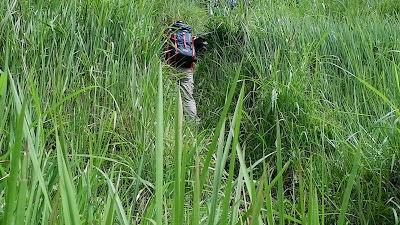 DSCF6462.MOV