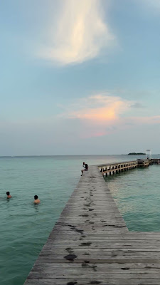 IMG_5026.mov
