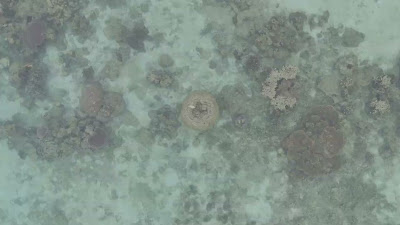 DJI_20250512072543_0073_D.LRF