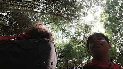 DJI_0503.MOV