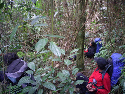 Survey PDA XIV Gunung Hutan dan SAR - 016.JPG