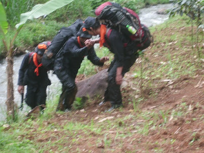 CIMG7272.JPG