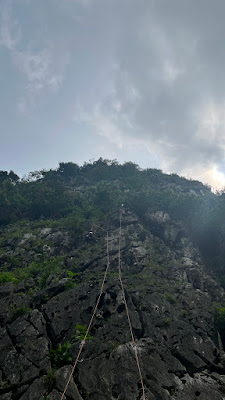 IMG_9376.HEIC