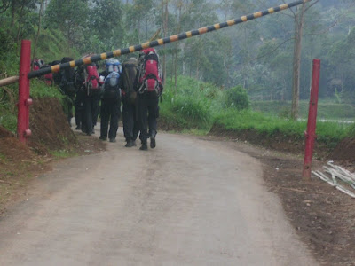CIMG7232.JPG
