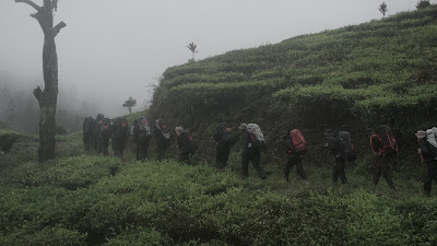 DSC08876.JPG