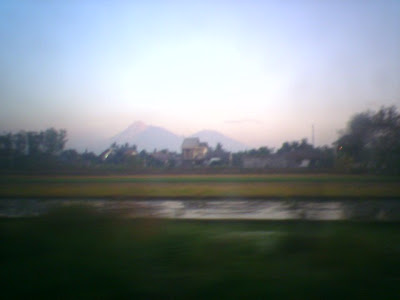 svr_065.jpg
