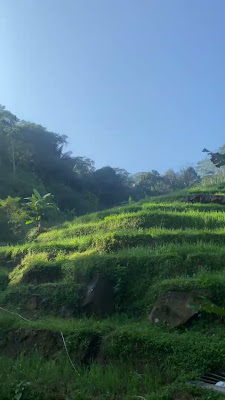 IMG_1085.MOV