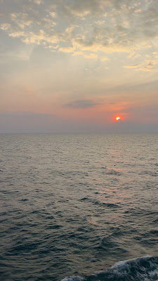 IMG_6602.MOV