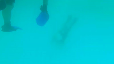 GX017895.MP4