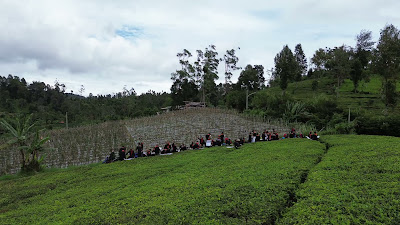 DJI_0240.MP4