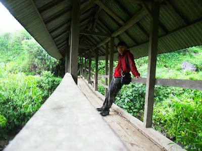 SAM_0697.JPG