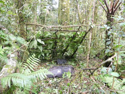 DSCN1474.JPG