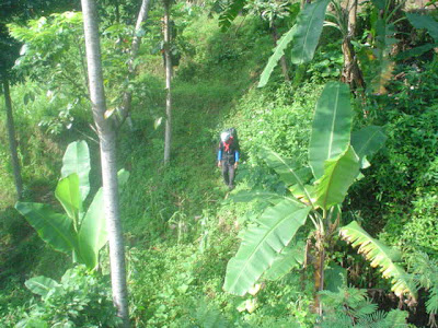 DSC02822.JPG