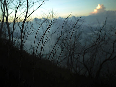 IMG_0097.jpg