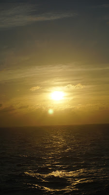 DSC02822.JPG
