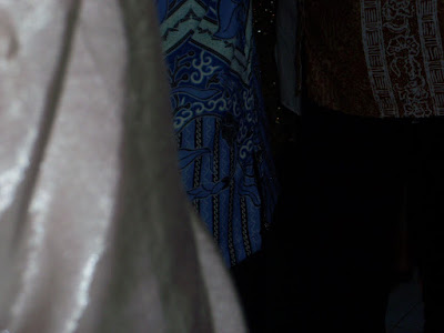 100_4065.JPG