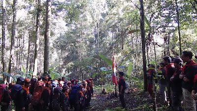 DSCN3887.MOV