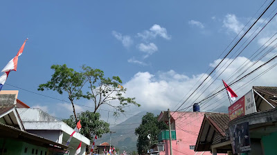 IMG_2539.MOV