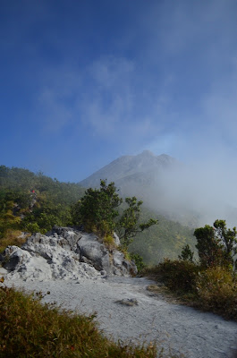 DSC_0028.JPG