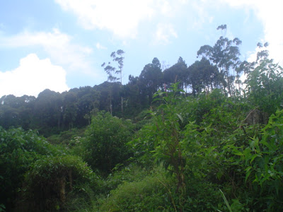 DSC00287.JPG