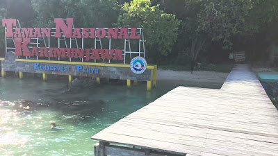 VID_20250510_151849_HDR10PLUS.mp4