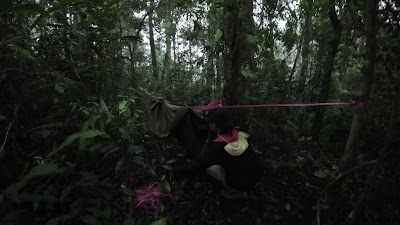 DJI_0100_001.MP4