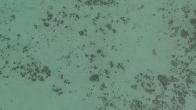 DJI_20250511064501_0036_D.LRF