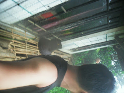 SAM_0700.JPG