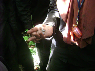 DSC00010.JPG