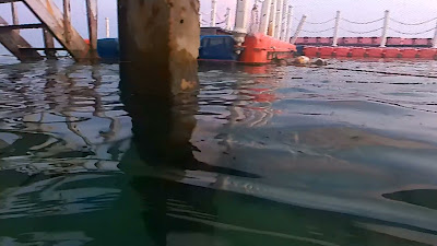 BP5AE3SENR0019.mp4