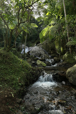 333A8395.JPG