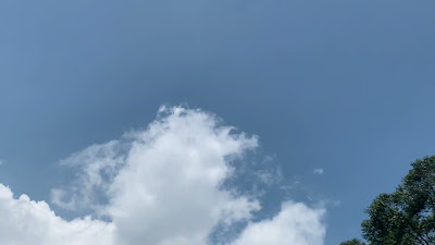 IMG_2136.MOV